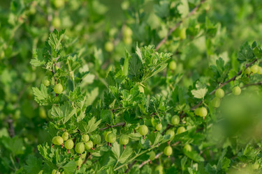 Similar image 21067201