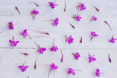 Similar image 21067202