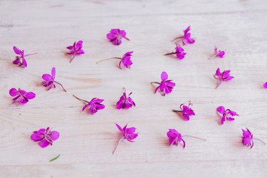 Similar image 21073339