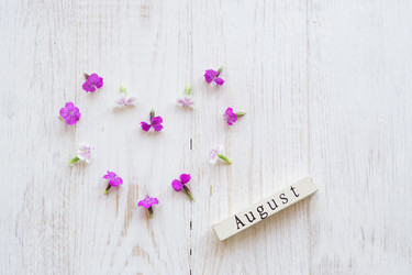 Similar image 21073345