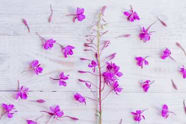 Similar image 21073347