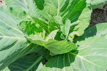 Similar image 21073348