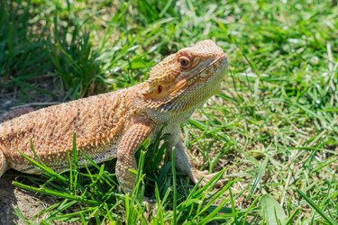 Similar image 21073374