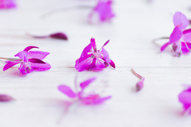 Similar image 21077233