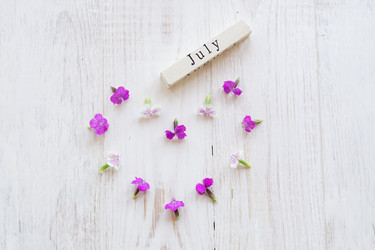 Similar image 21035585