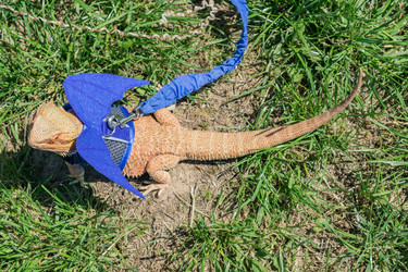 Similar image 21077251