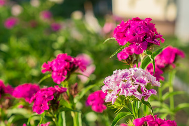 Similar image 21077322