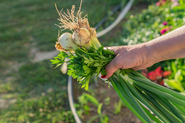 Similar image 21077331