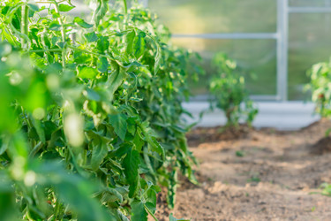 Similar image 21078210