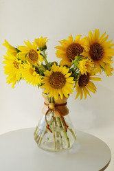 Similar image 21036181