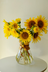 Similar image 21036183