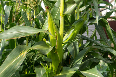 Similar image 21044020