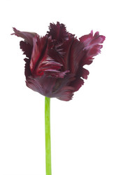 Similar image 21044030