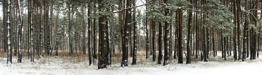 Similar image 21044061