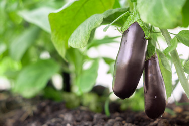 Similar image 21044064