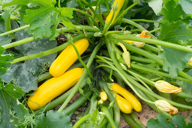 Similar image 21044065