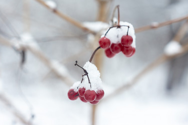 Similar image 21044067