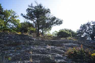 Similar image 21042901