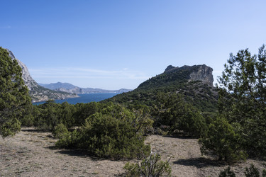 Similar image 21042903