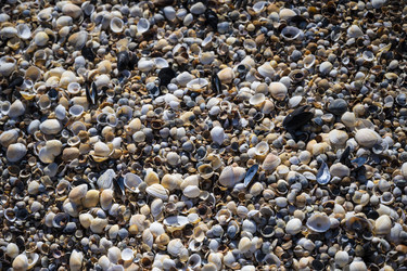 Similar image 21042978