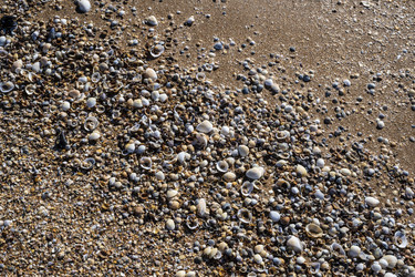 Similar image 21042980