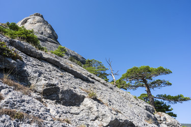 Similar image 21042981