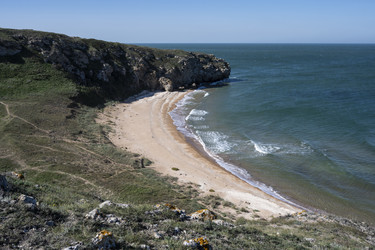 Similar image 21042982