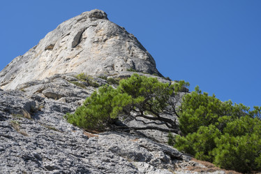 Similar image 21042994