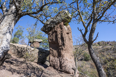 Similar image 21043021