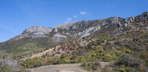 Similar image 21043057