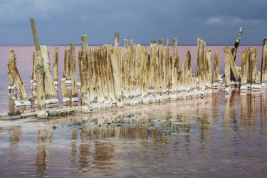 Similar image 21035871