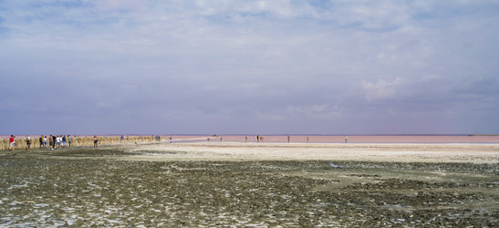 Similar image 21035873