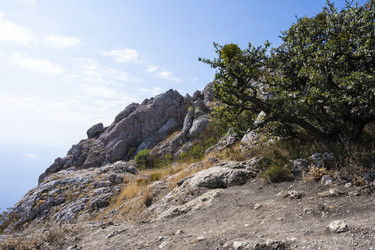 Similar image 21035892