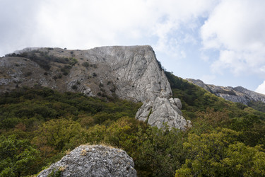 Similar image 21035897