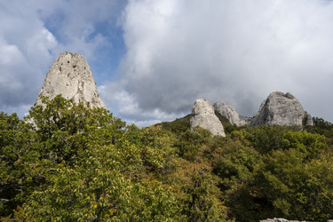 Similar image 21035898