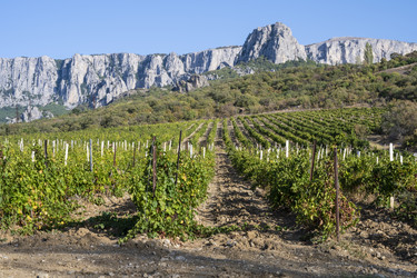 Similar image 21040498