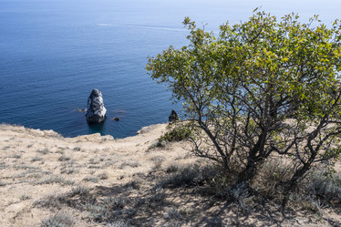 Similar image 21040514