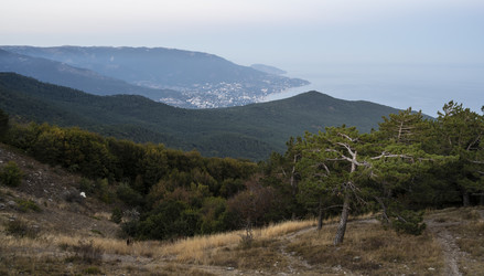 Similar image 21040528