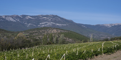 Similar image 21040560