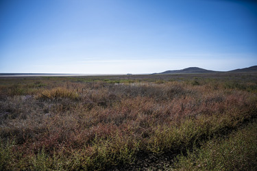 Similar image 21040561