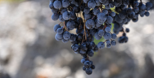 Similar image 21040566