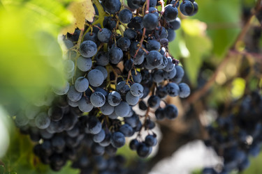 Similar image 21040568