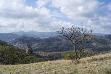 Similar image 21040613