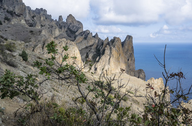 Similar image 21042845