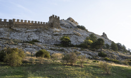 Similar image 21042920