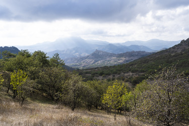 Similar image 21042958