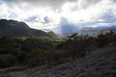 Similar image 21042960