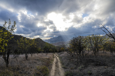 Similar image 21042986