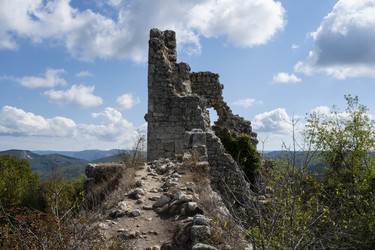 Similar image 21043003