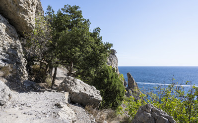 Similar image 21043022